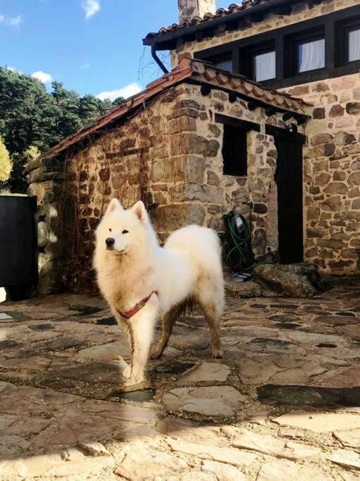 Casa Con Encanto Lagunanegra Y Urbion Вінуеса Екстер'єр фото